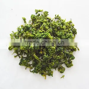 Wholesales Clean Fresh Broccoli Price thumbnail-2