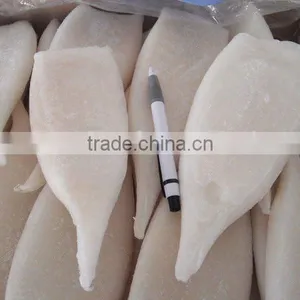 Squid Tube Sea Food thumbnail-1