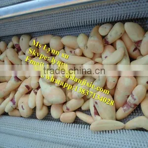 Potato Ginger Washing Peeling Machine /ginger Peeling Cleaning Machine thumbnail-1