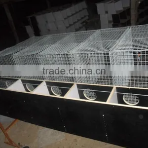 Galvanized Mink Wire Mesh Breeding Cage Low Price Mink Cage for Sale thumbnail-4