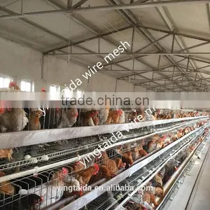 Reptile Cages thumbnail-6