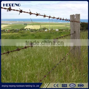 Barbed Wire Fence (factory) thumbnail-6