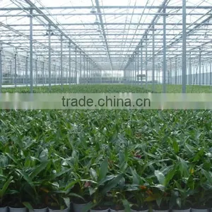 Industrial Greenhouse thumbnail-2