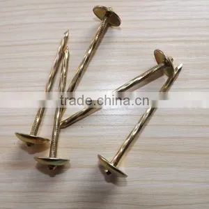 Electro Galvanized 2.5 Inch Screw Shank Twisted Roofing Nail thumbnail-4