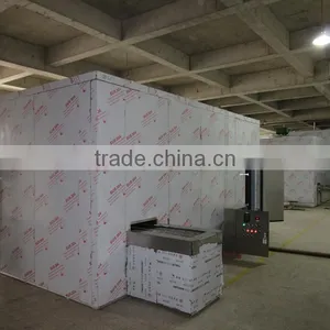 Food Processing Machine IQF Spiral Blast Freezer For Sale thumbnail-1