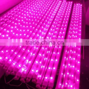 Best Seller 10W Led Grow Light Tube T8 Bridgelux Chip for Bamboo Seedlings thumbnail-1
