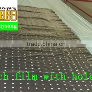 Plastic Agricultural Perforation Film for Punch 1cm Hole thumbnail-1