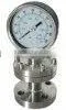 Flange Connection Diaphragm Pressure Gauge thumbnail-1