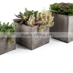 Vegetable Wooden Garden Plant Tray thumbnail-4