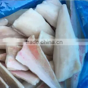 Frozen Red Gurnard Fillets 60-100g Lepidotrigla Microptera thumbnail-1