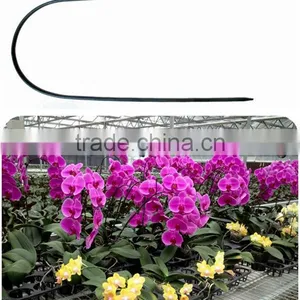 Chinese Factory Outlet Garden Plants Growing Flexible Bamboo Sticks thumbnail-1