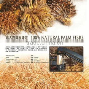 Oil Palm Fiber thumbnail-5