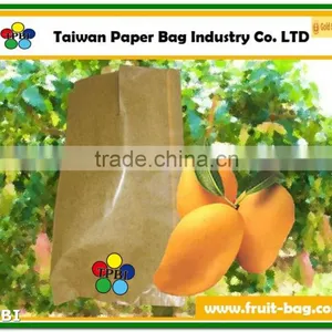 TPBI Fruit Growing Paper Bag Pear Paper Bag Paper Wax Fruit Protective Bags Mango thumbnail-1