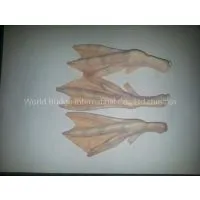 Duck Feet thumbnail-1