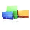 Accordion Folder thumbnail-1