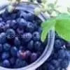 Sweetberry Anthocyanin thumbnail-1