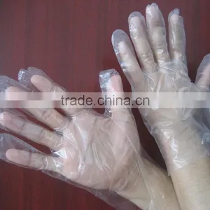 Medical Supply Store Clear Disposable Plastic Glove thumbnail-1