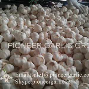 Chinese 100% Pure White Fresh Garlic Small Packing Costa Rica Market thumbnail-3