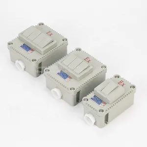 Explosion-proof Wall Switch BQK One Two Three Four Has the Certificate Lighting Switch thumbnail-1