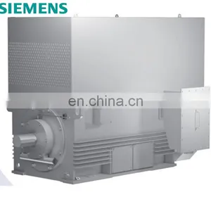 Siemens Brand Big Power 6.6KV High Efficiency Induction Motor thumbnail-1