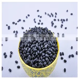 Medium White Kidney Beans thumbnail-1