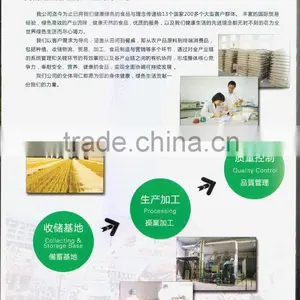 Organic Green Mung Bean thumbnail-4