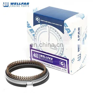 S1220014 79mm GM 1.6L Compatible Piston Ring For General Motors Engine thumbnail-3