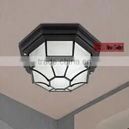 Outdoor Lighting Fixture thumbnail-1