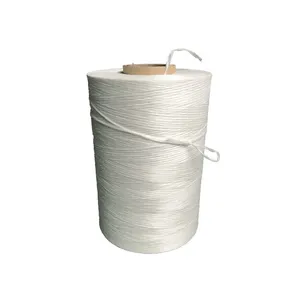 850D-1200D PP Fibrillated Polypropylene Yarn for Webbing thumbnail-1