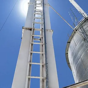 High Efficiency Bucket Elevator for Grain Handling and Bulk Material Conveying thumbnail-5