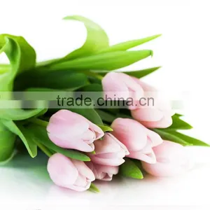 Fashion Crazy Selling Decorative Tulip thumbnail-2