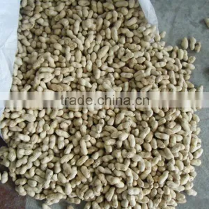 11/13 Size Peanut in Shell for Sale With Lowest Price thumbnail-4