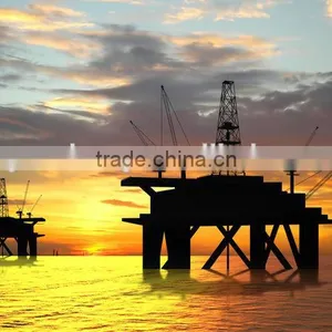High Tensile AISI 304 316 Stainless Steel Wire Rope Used in Petrochemical Industry thumbnail-1