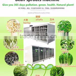 Barley Sprout/radish Sprout Machine thumbnail-5