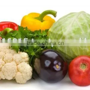 Fresh Pakistani Vegetables thumbnail-2