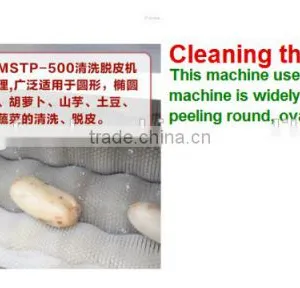 MSTP-500 Automatic Electric Ginger Washing and Peeling Machine thumbnail-4