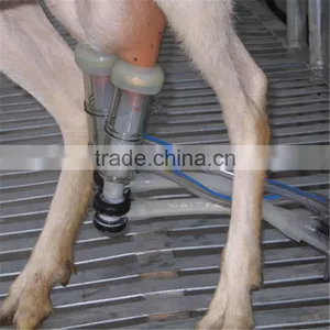 Farm Milking Parlour Plant for Goats and Sheep thumbnail-2