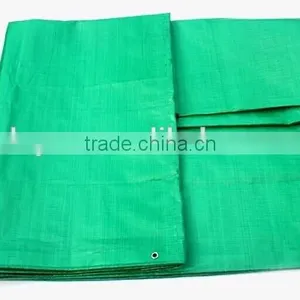 Doyue Tarp , Green pe Tarpaulin for Truck Cover , Building Cover and Garden Shed thumbnail-1