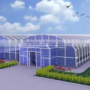 Hot-Dip Galvanized Steel Pipe Frame And 150mm PE Film Covered Multi-Span Greenhouse For Vegetables thumbnail-6