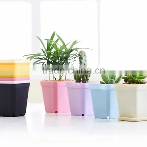 Plastic Colorful Small Square Flower Pots Without Pallet -3 Inch thumbnail-2