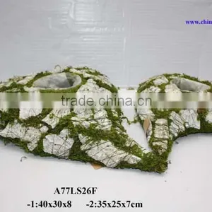 Moss Cushions With Flower Pot thumbnail-1
