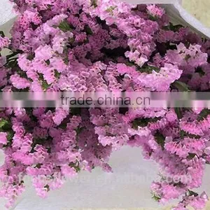 First Class Pink Statice Export Without Middleman For Home Decoration thumbnail-3