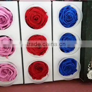 Everlasting Rose A Grade 6 to 7 cm Preserved Rose From Yunnan thumbnail-1