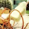 Sheepskin Cover thumbnail-1