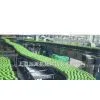 Playing Melon Juice Processing Production Line Equipment thumbnail-1