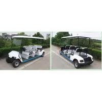 The Electric Golf Cart thumbnail-2