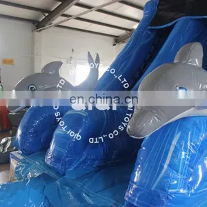 Commercial Inflatable Water Slide , Adult Inflatable Water Games, Water Slide Price thumbnail-4