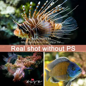 ARCHON WM66 Diving Video Light Underwater Video Flashlight 12000 Lumens Diving Torch COB Dive Lampp thumbnail-5