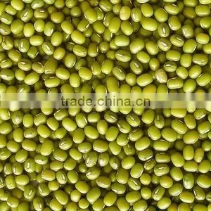 Organic Mung Bean thumbnail-1