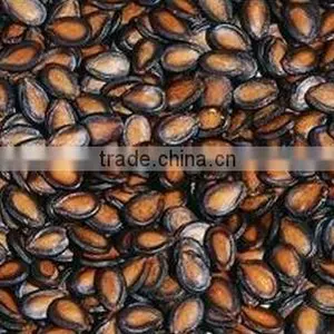 Red Watermelon Seeds Kernels for Sale thumbnail-1